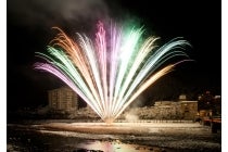 ★デラックスプラン 臨川閣プラン★ 【名古屋席・春日井車庫発】*1泊4食付*第50回プロが選ぶ日本のホテル・旅館100選 総合第2位の宿『水明館で下呂温泉冬花火を見よう!』1